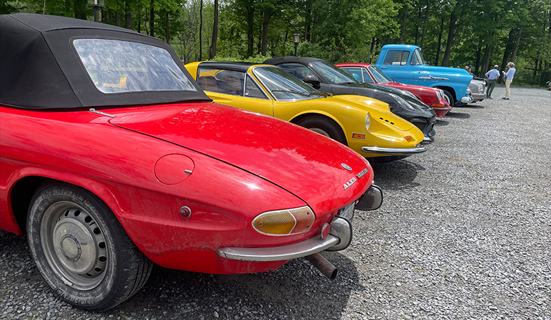 Road Rally Cars