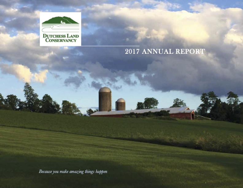 2017 Annual Report
