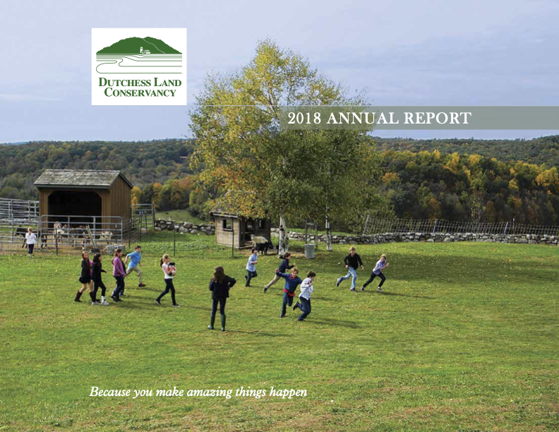 2018 Annual Report