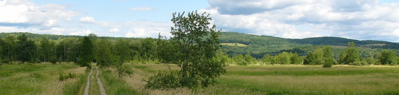 Protect Land