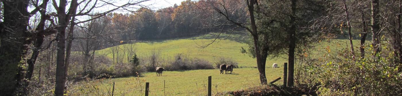 Landowners