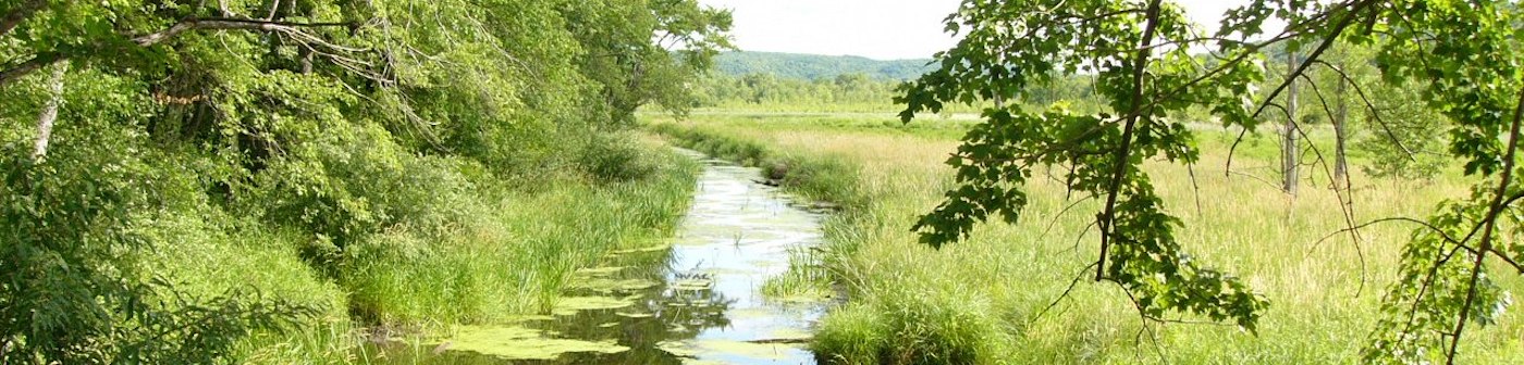 Water Sources