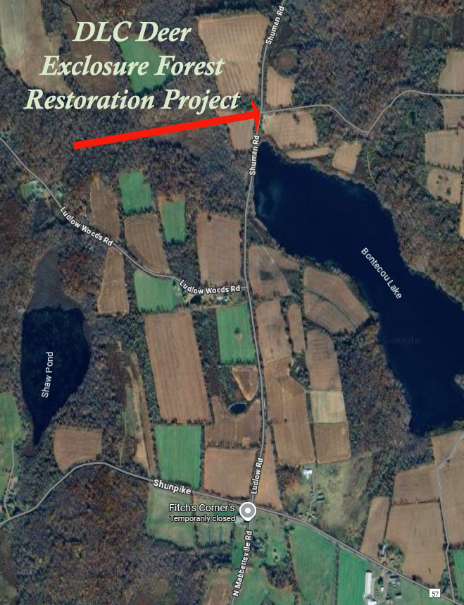 Deer Exclosure Map Edited with Arrow