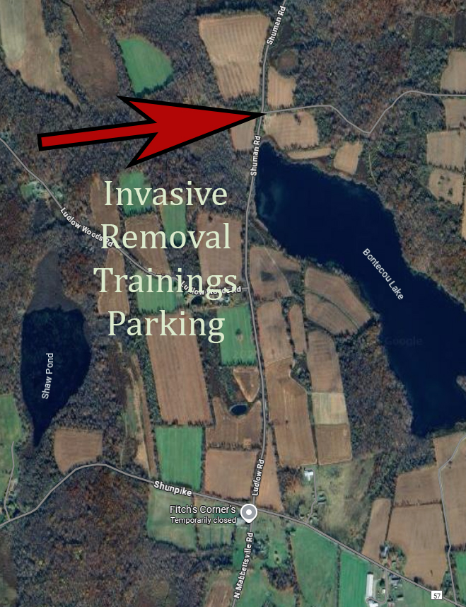 Deer Exclosure Map Edited with Arrow