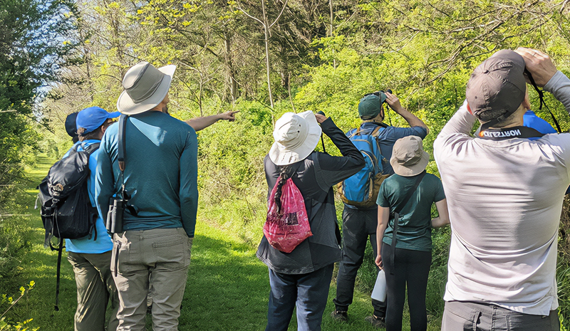 Morning Bird Walk for Volunteer Program 2