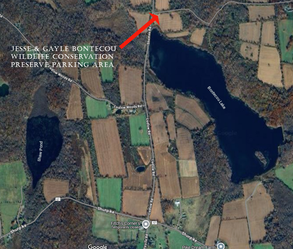 Summer Solstice Wildflower Walk Map