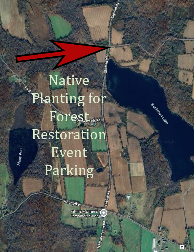 Deer Exclosure Map Edited with Arrow