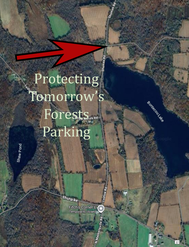 Deer Exclosure Map Edited with Arrow