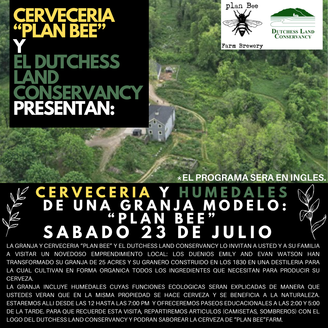 SPANISH Brewery and Wetlands Walk
