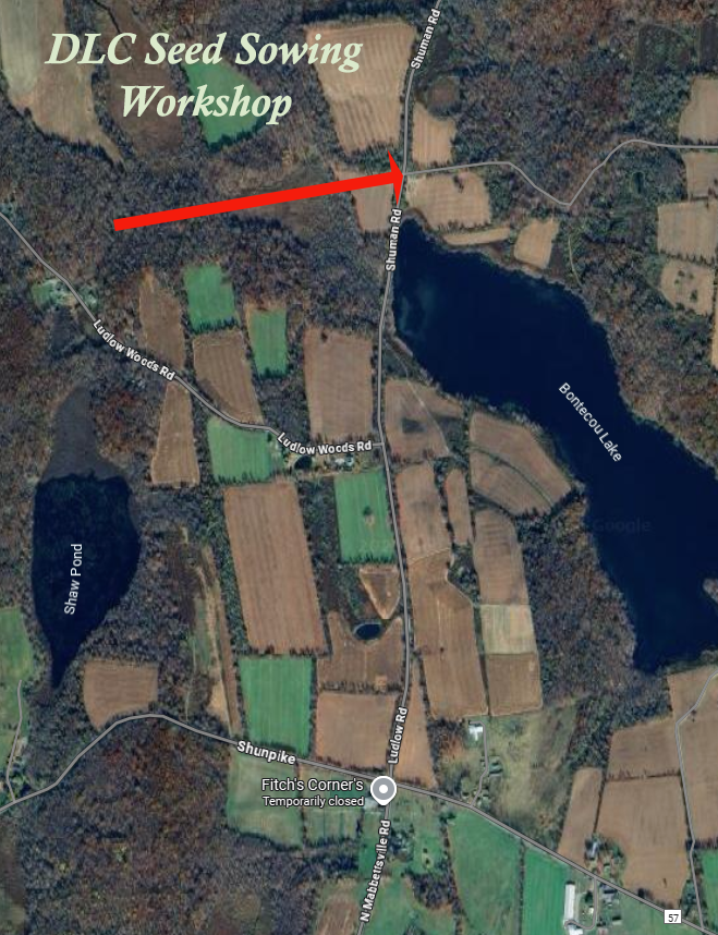 Deer Exclosure Map Edited with Arrow