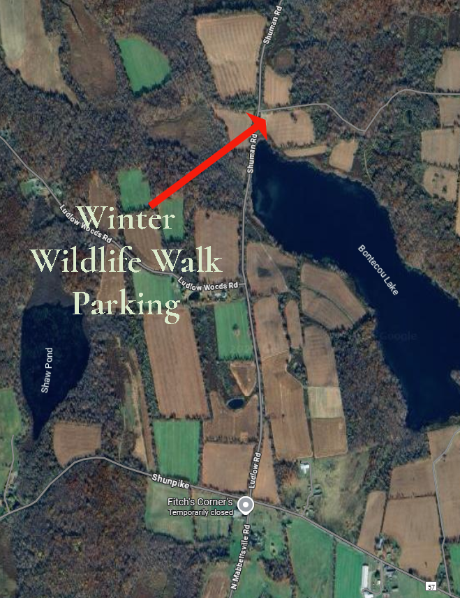 Winter Wildlife Walk Map Edited with Arrow