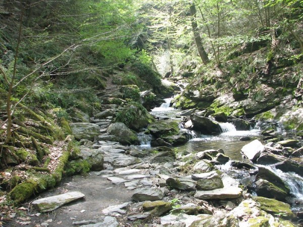 stream and path shot stream and path shot