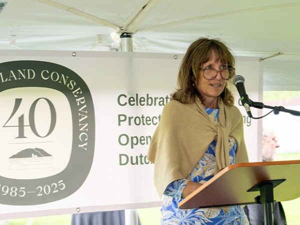 road rally road rally