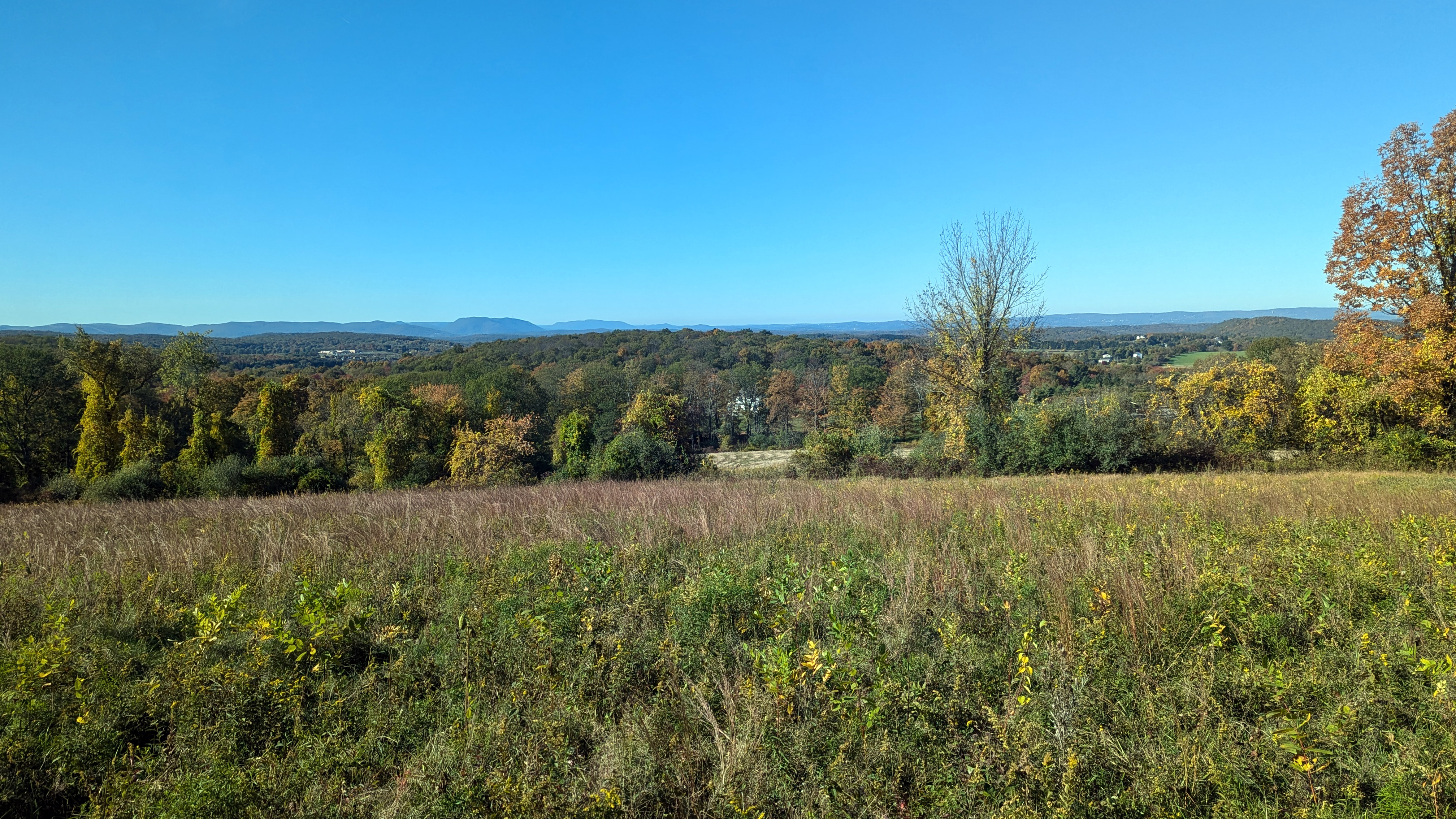 Forests & Fields Preserved on the West Slope of Clove Mountain