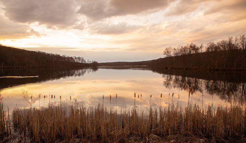 Bontecou Preserve Closed