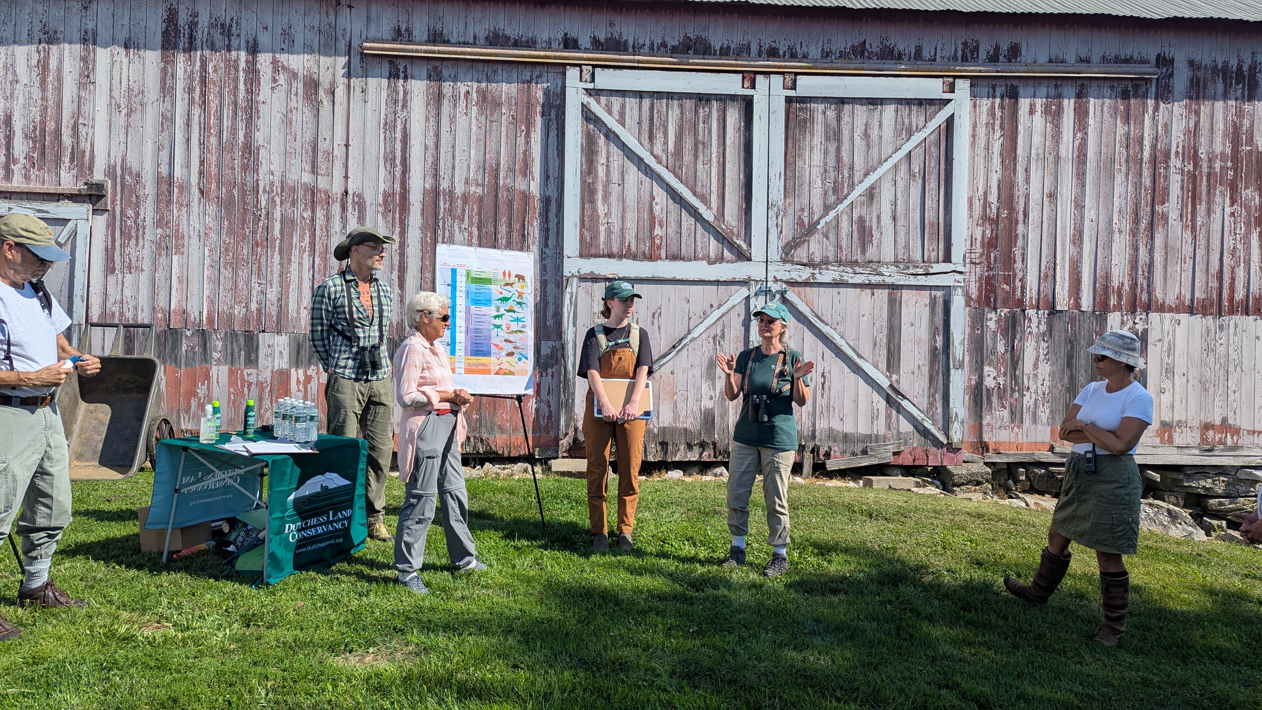 Tree Planting News 3