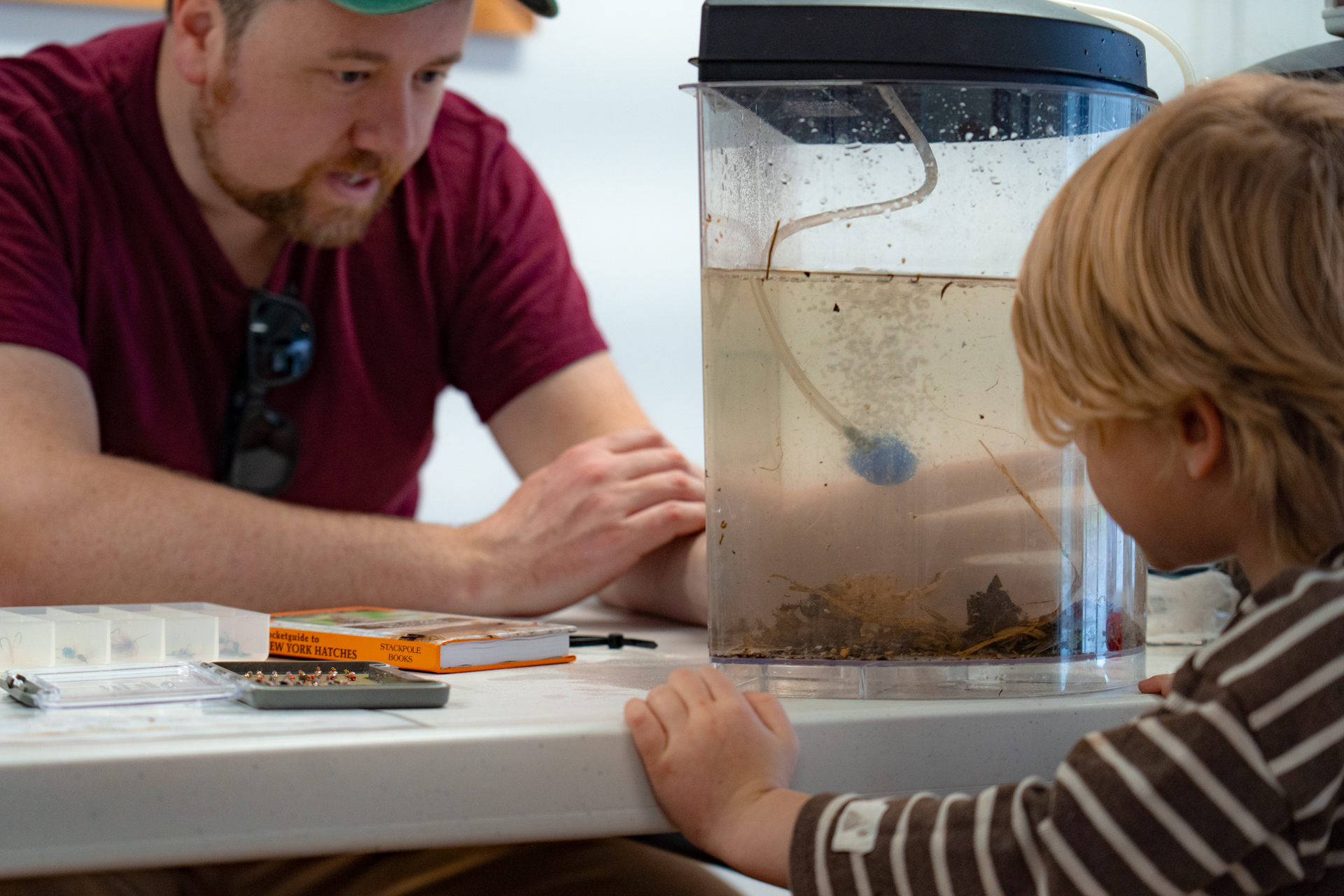 Tree Planting News 3