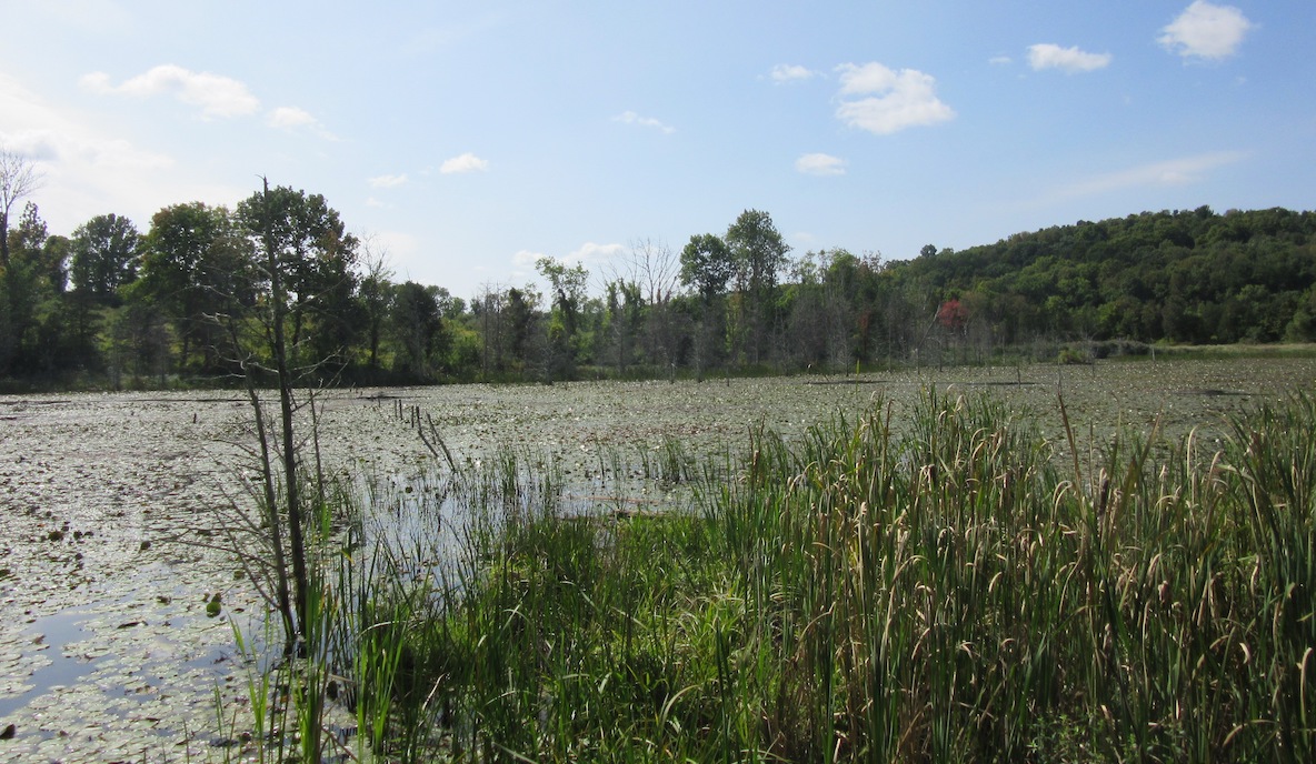 Jordan Lane Farm