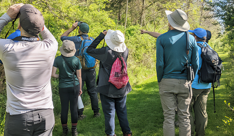 Morning Bird Walk for News