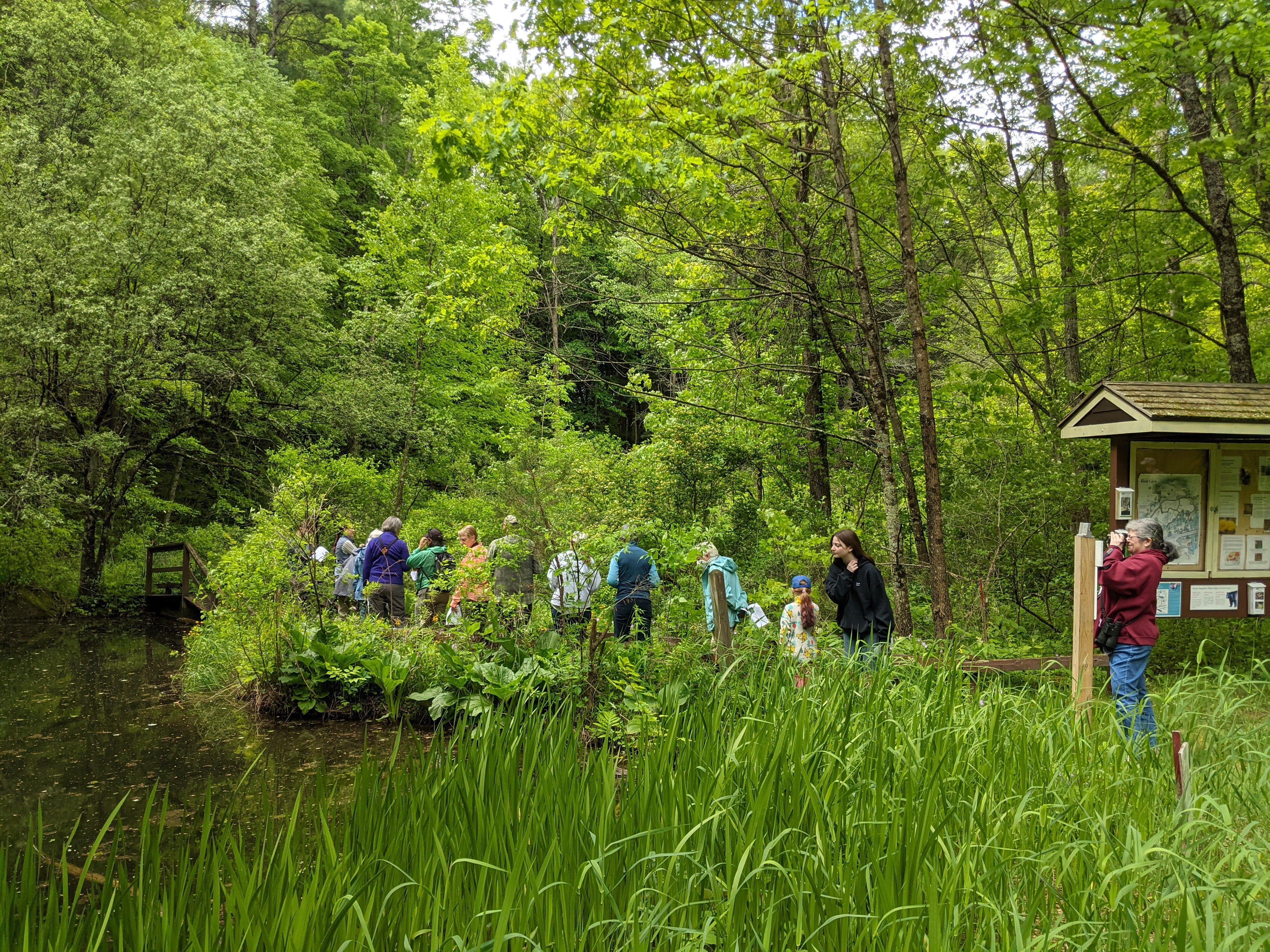 Tree Planting News 3