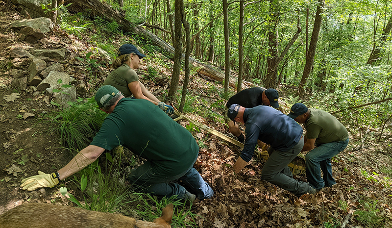 Thompson to Tower Trail 2 News 1