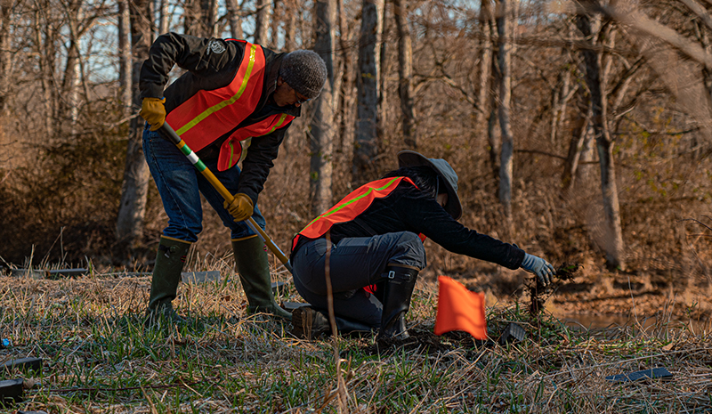 Wappinger Creek Fall Tree Planting Web News 1