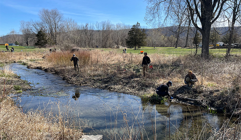 Wells Brook Restoration News 1