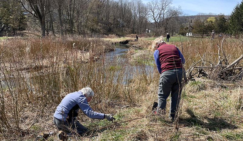 Wells Brook Restoration News 2