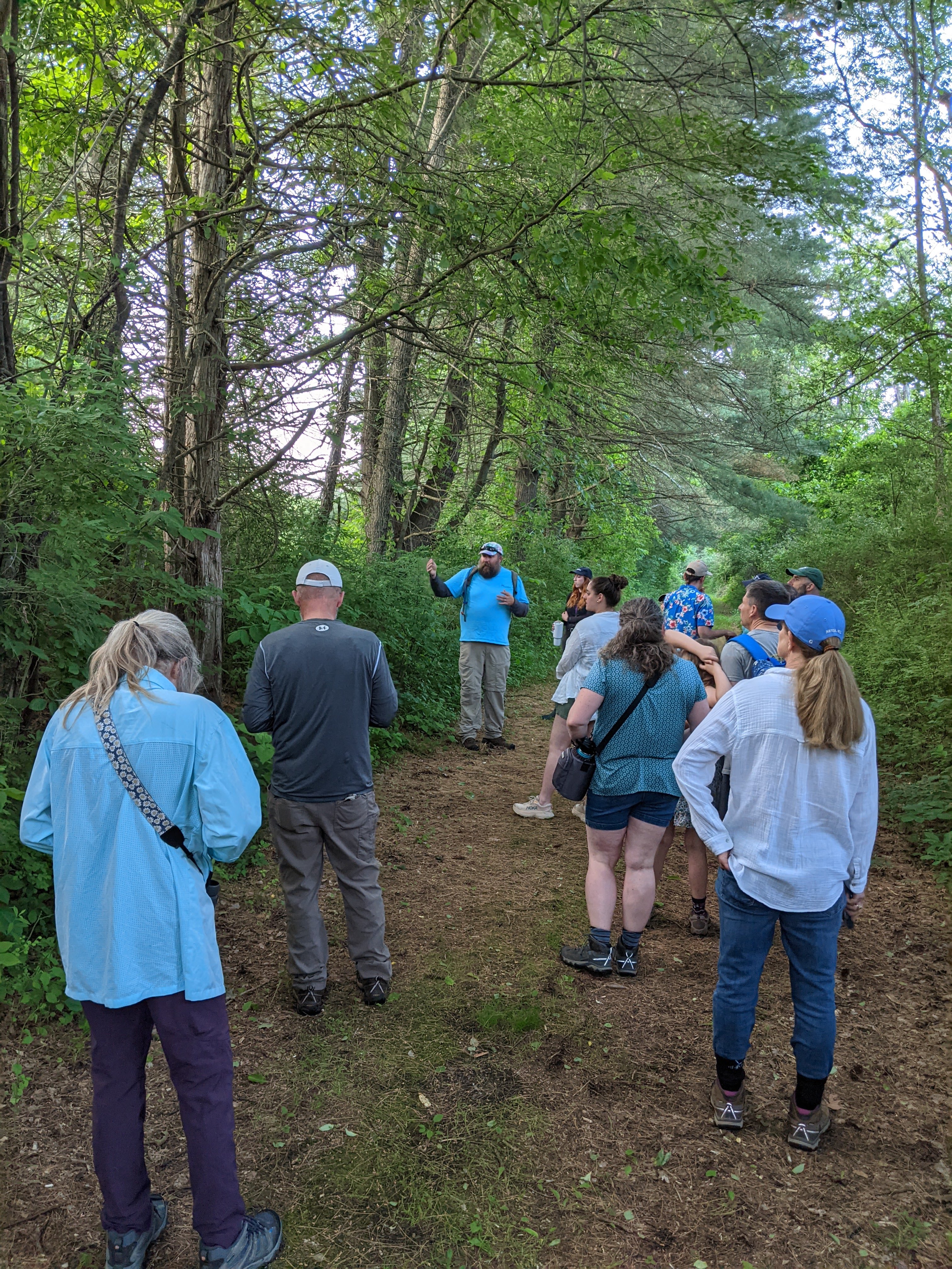 Wildflower Walk News 2 copy