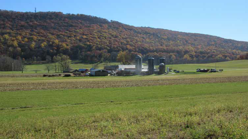 Shenandoah Farm