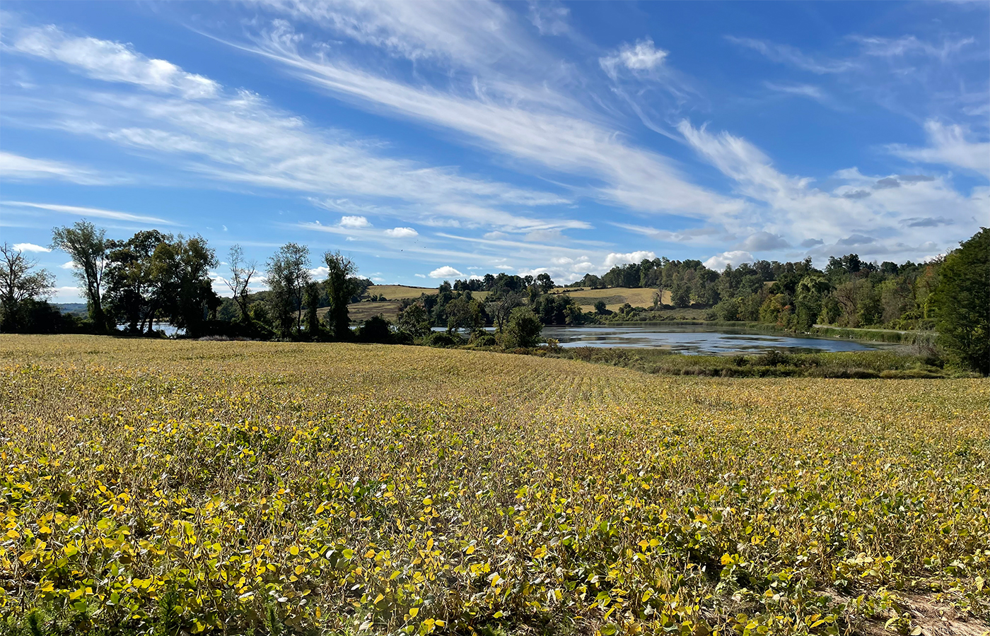 Preserving Land for Over 35 Years